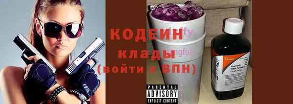 прущий лед Алзамай