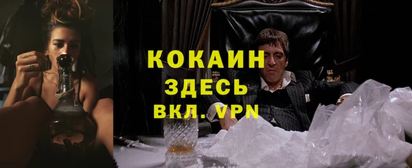 прущий лед Алзамай
