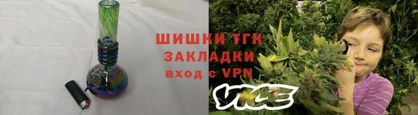сатива Елабуга