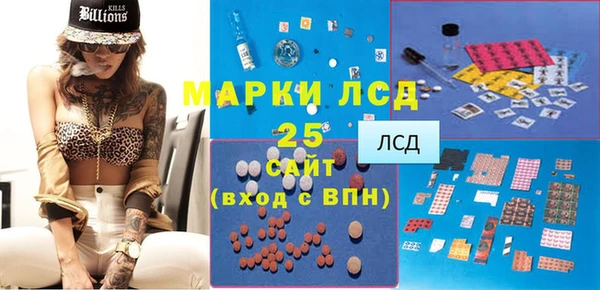 прущий лед Алзамай