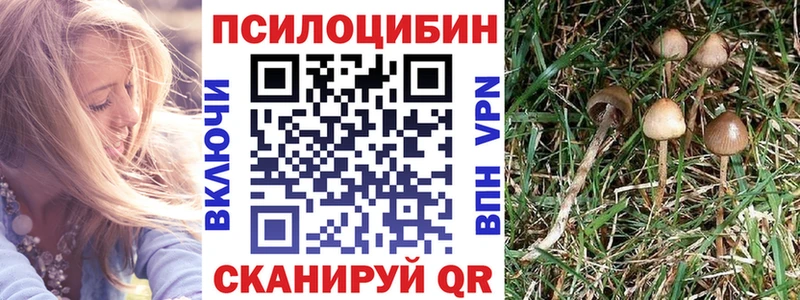 Галлюциногенные грибы мухоморы Белебей